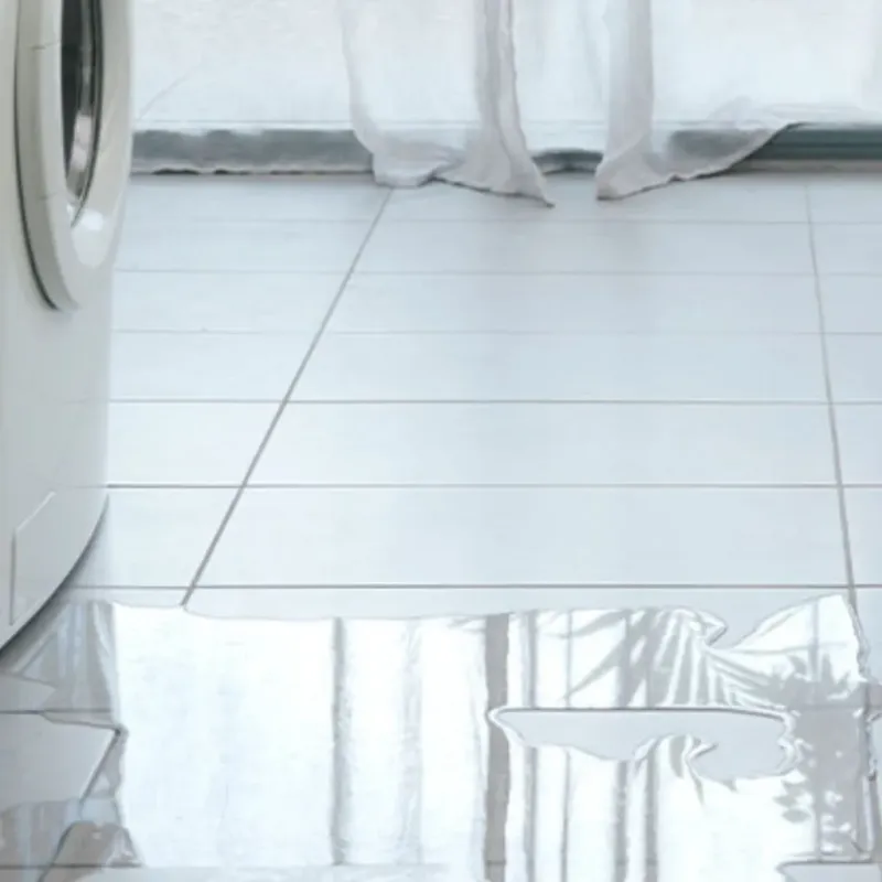 Appliance Leak Cleanup in Maysville, NC