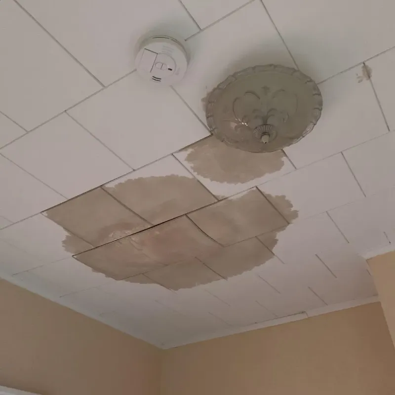 Ceiling Water Damage Repair in Maysville, NC